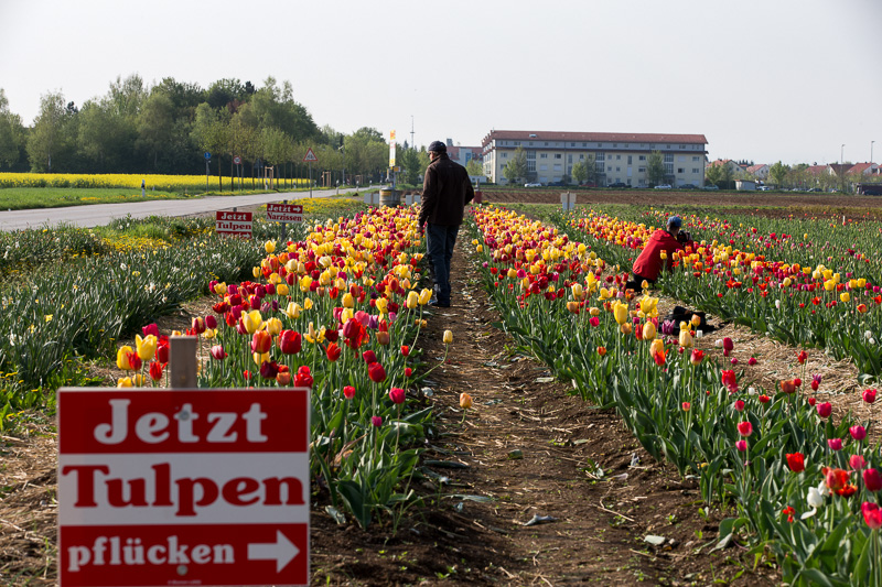 Fotografen in Action 009